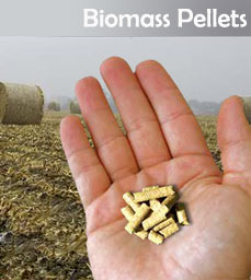 Biomass Pellets