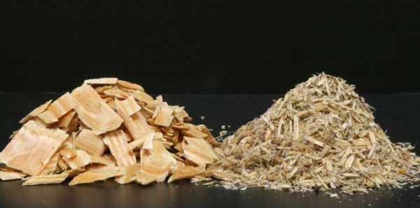 green wood chips