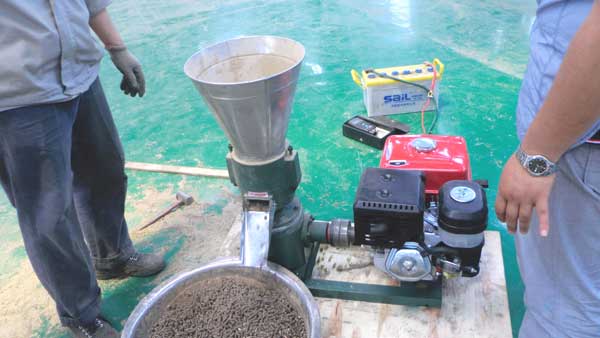 we test pine sawdust to ZLSP 150B pellet mill for making pellets