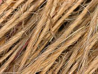 Hemp Fibre