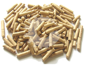 bagasse pellet