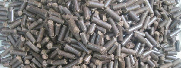 bagasse pellets