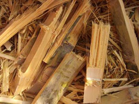 bamboo waste