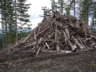 biomass material