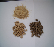 biomass pellet