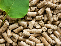 biomass pellets