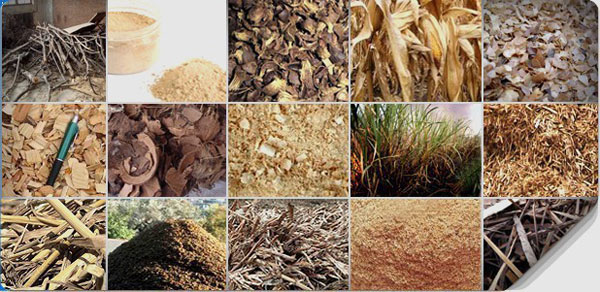 biomass raw materials