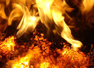 burning leaf pellets