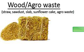 wood/agro waste