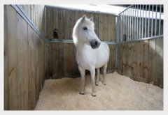 wood pellets horse bedding