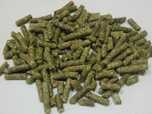 picture of grass pellets