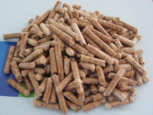 pine wood pellets