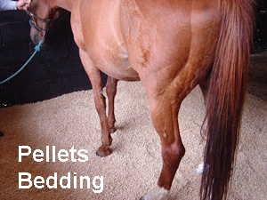 wheat straw pellets used as animal bedding