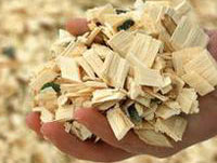 wood chips