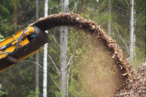 wood resource Canada